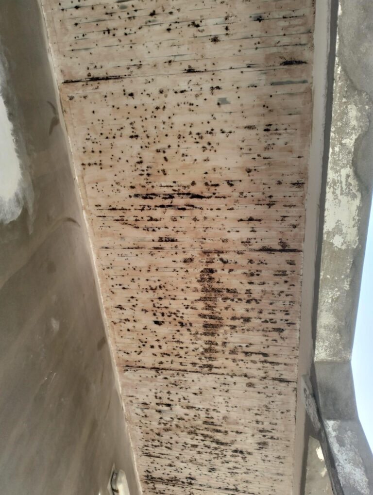micaelmultiservices-pinturas-33